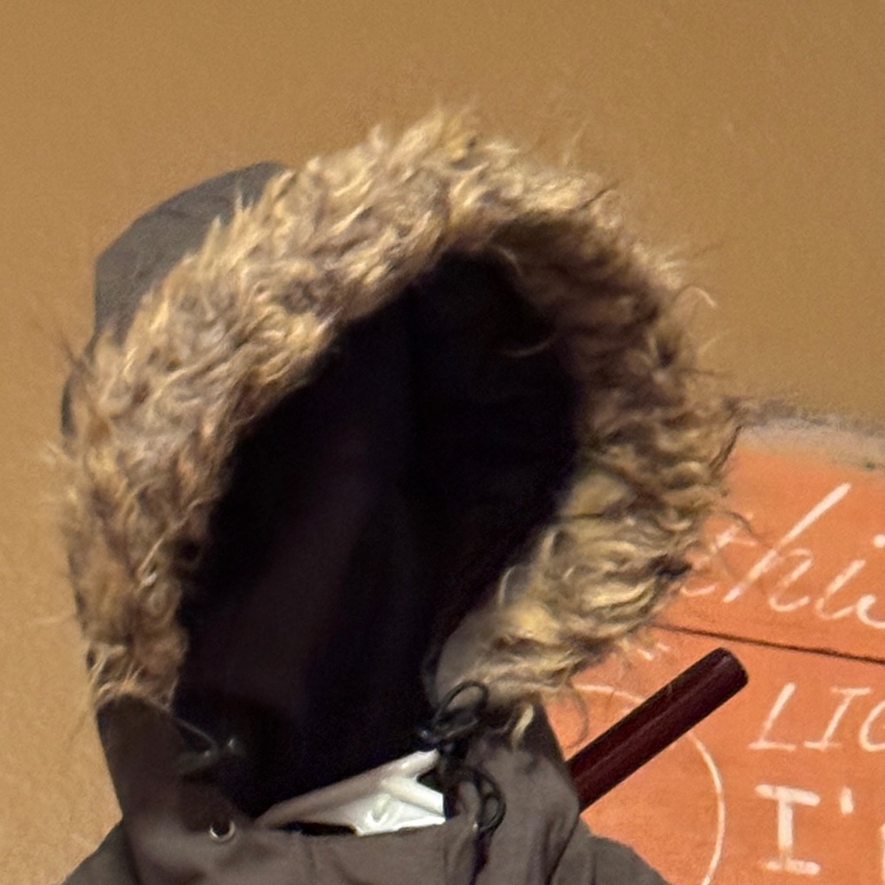 Pulse Winter Jacket Medium Green Full Zip Parka - image 4